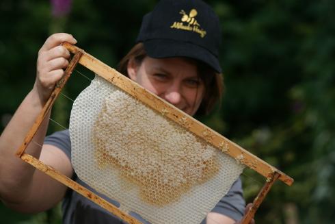 Ernte des Frühjahrshonig 2013. Foto: Niels Gründel