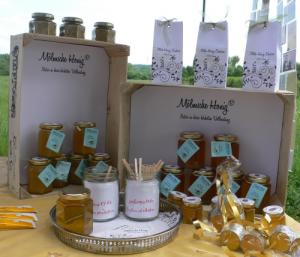 Naturgartentag Oberhausen/Haus Ripshorst 2012. Foto: Kerstin Gründel