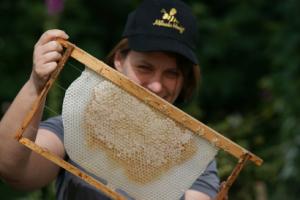 Ernte des Frühjahrshonig 2013. Foto: Niels Gründel