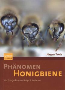 Phänomen Honigbiene.