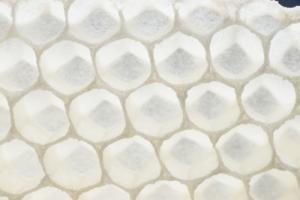 Frischer Wabenbau. Foto: Niels Gründel